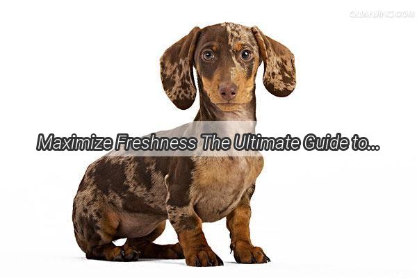 Maximize Freshness The Ultimate Guide to Storing Homemade Dog Food for Happy Paws